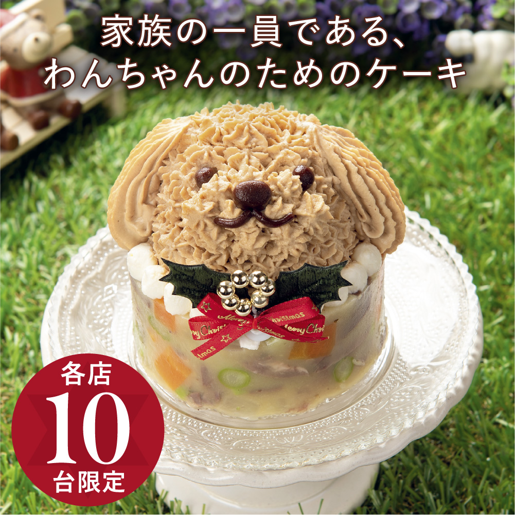 【店舗受取予約】わんちゃんのケーキ（犬用ケーキ）【2023クリスマス予約】